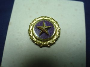 GOLD STAR WWII IN BOX PINBACK