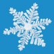 SNOW Sports