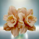 Daffodil Silicone Mold | Handmade Soap Mold | 3D Floral Mould for Cold Process, Resin, Wax