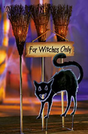 Witches Only Parking Sign black cat  HALLOWEEN NEW MIB