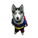 Super Man Dog Costume Pet Clothes