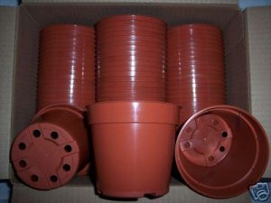 4" terracota standard plastic pot nursery cactus 540 @@