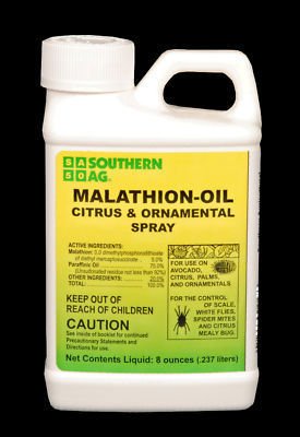Malathion oil insecticide @ scale mites mealy bugs 8 OZ