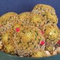 Mammillaria Shiedeana @ cacti rare cactus seed 15 SEEDS