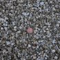 VERMICULITE rock Cactus Cacti Succulents soil media 8qt