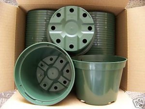 5" azalea green plastic pot @ greenhouse nursery outdoor cactus planter 220 lots