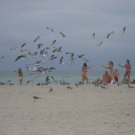 South Beach