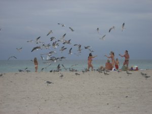 South Beach