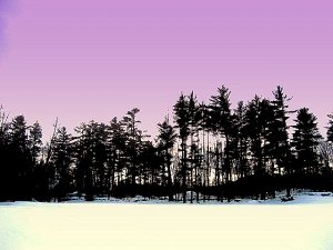 Winter