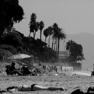 Butterfly Beach - Black and White