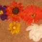 5 Flower Clip