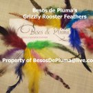 Grizzly Rooster FEATHERS HAIR EXTENSION KIT-Tools+Link Beads+Instructions