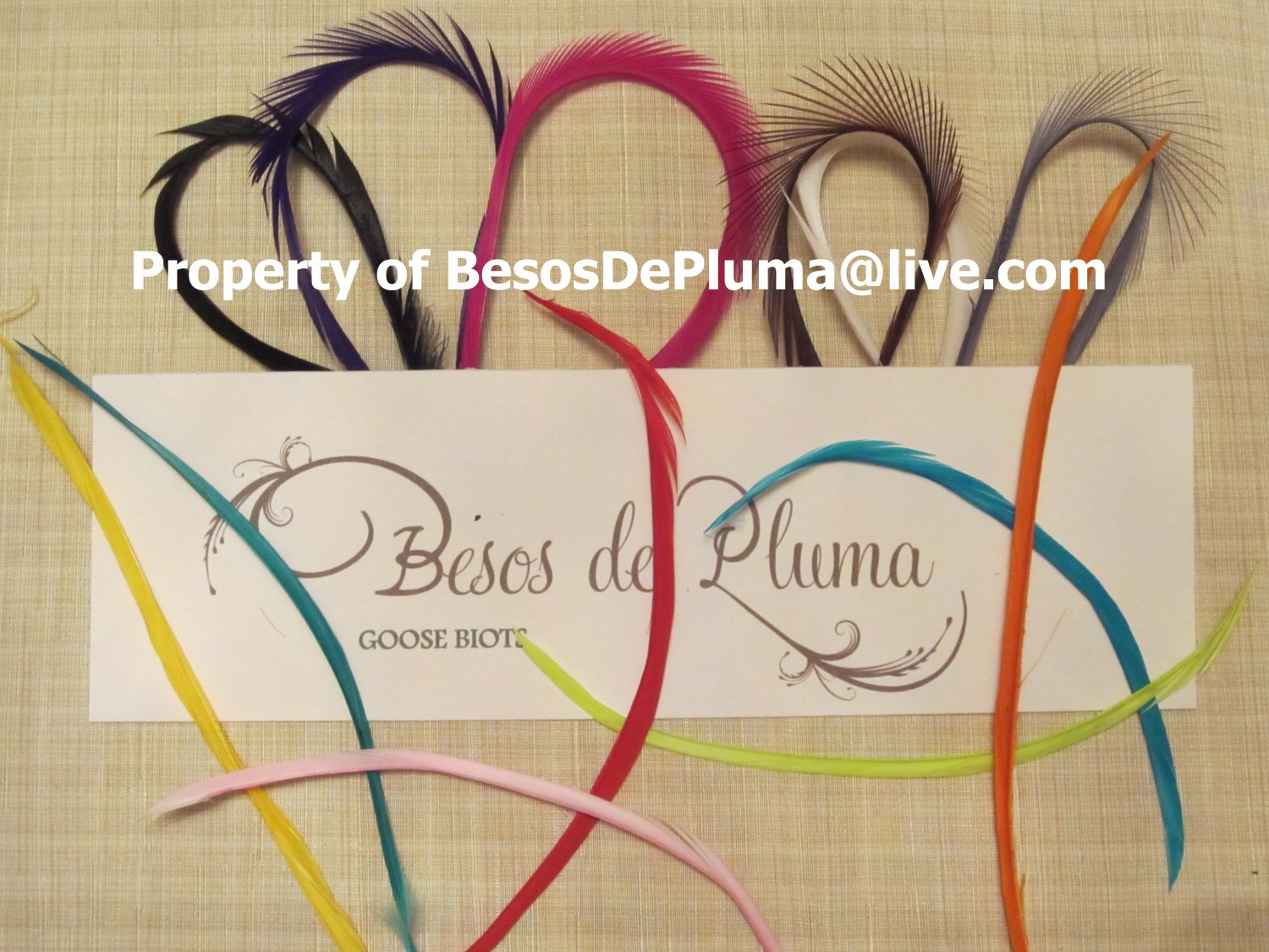 FEATHERS HAIR EXTENSION KIT pick colors & feathers DOITYOURSELF