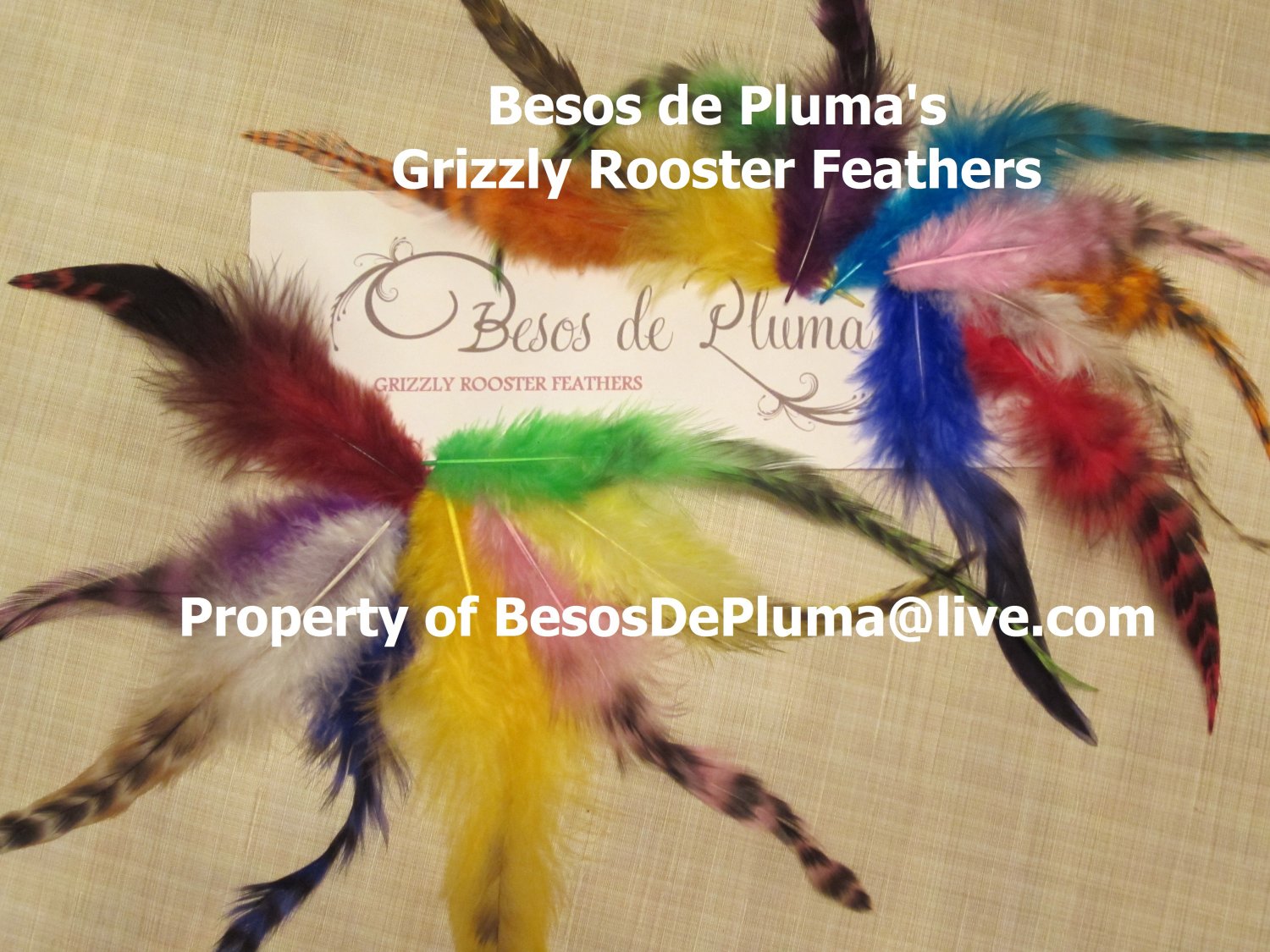 10 GRIZZLY ROOSTER FEATHERS for Hair Extensions purple Yellow pink