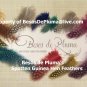 five SPOTTED GUINEA HEN FEATHERS for Hair Extensions pink-blue-green-orange-purple SHORT hair