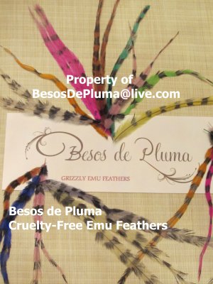 TEN for 6$ Cruelty-Free EMU FEATHERS for Hair Extensions pink-blue-green-orange-purple
