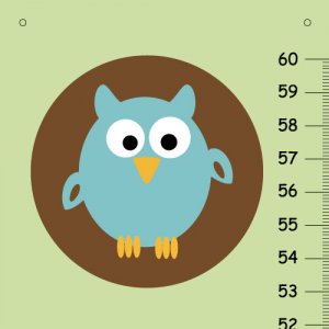 Canvas Growth Charts- Adorable Owls