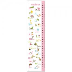 Personalized Children Canvas ABC Pink Growth Charts FOR Girls