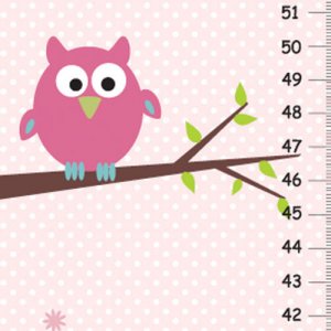 Personalized Girls Canvas Growth Charts- Pink Owl