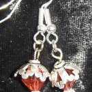 Crystal and silver earrings