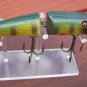Custom Jointed Creek Chub Pikie Display Stand