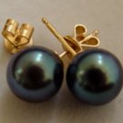 8mm DIAMOND BLUE AKOYA PEARL CLASSIC STUD EARRINGS