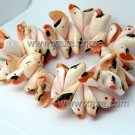 Lovely shell bracelet b