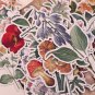 52 Pcs Vintage Floral Sticker Pack/Junk Journal/Scrapbooking/Diary Deco