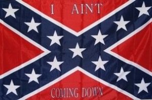 I AINT COMING DOWN FLAG