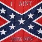 I AINT COMING DOWN FLAG