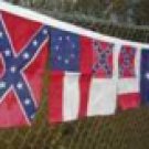 CSA BUNTING FLAG