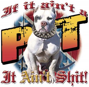 IF IT AINT PIT T-SHIRT SMALL