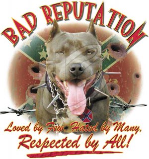 BAD REP PITT T-SHIRT 3X