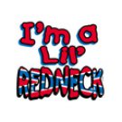 i am lil redneck t-shirt 4t