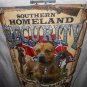homeland pitt t-shirt 2x