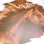 IN THE WIND T-SHIRT 3X