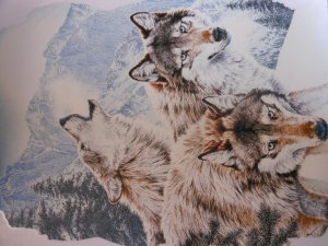 WOLF PACK T- SHIRT SMALL
