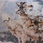 WOLF PACK T- SHIRT 5X