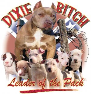 dixie bitch t-shirt small