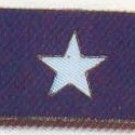 bonnie blue patch 2"x3"