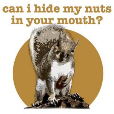 CAN I HIDE MY NUTS T-SHIRT 3X