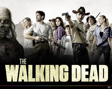 WALKING DEAD T-SHIRT LARGE