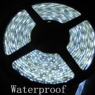 Cool White 5M 300 LED 5050 SMD Flexible LED Light Strip 12V waterproof
