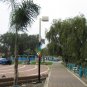 Solar Street light