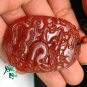 Excellent natural red agate pendant. Dragon world. Hand-carved