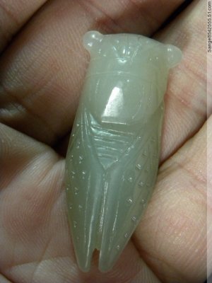 Natural white jade, hand-carved cicada pendant. Pendant on 46x19x9mm