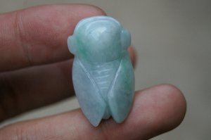 Natural white jade, hand-carved (blockbuster) the cicada charm necklace pendant.