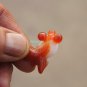 Red and white agate, hand-carved, lovely goldfish. Necklace pendant. 28x21x10mm