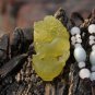 Hand-carved natural yellow jade pendant, amulet ( Kirin ) . Necklace Pendant 42x22x8mm
