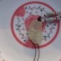 Hand-carved natural white jade pendants, amulets ( Kirin ) . Necklace Pendant 42x22x8mm